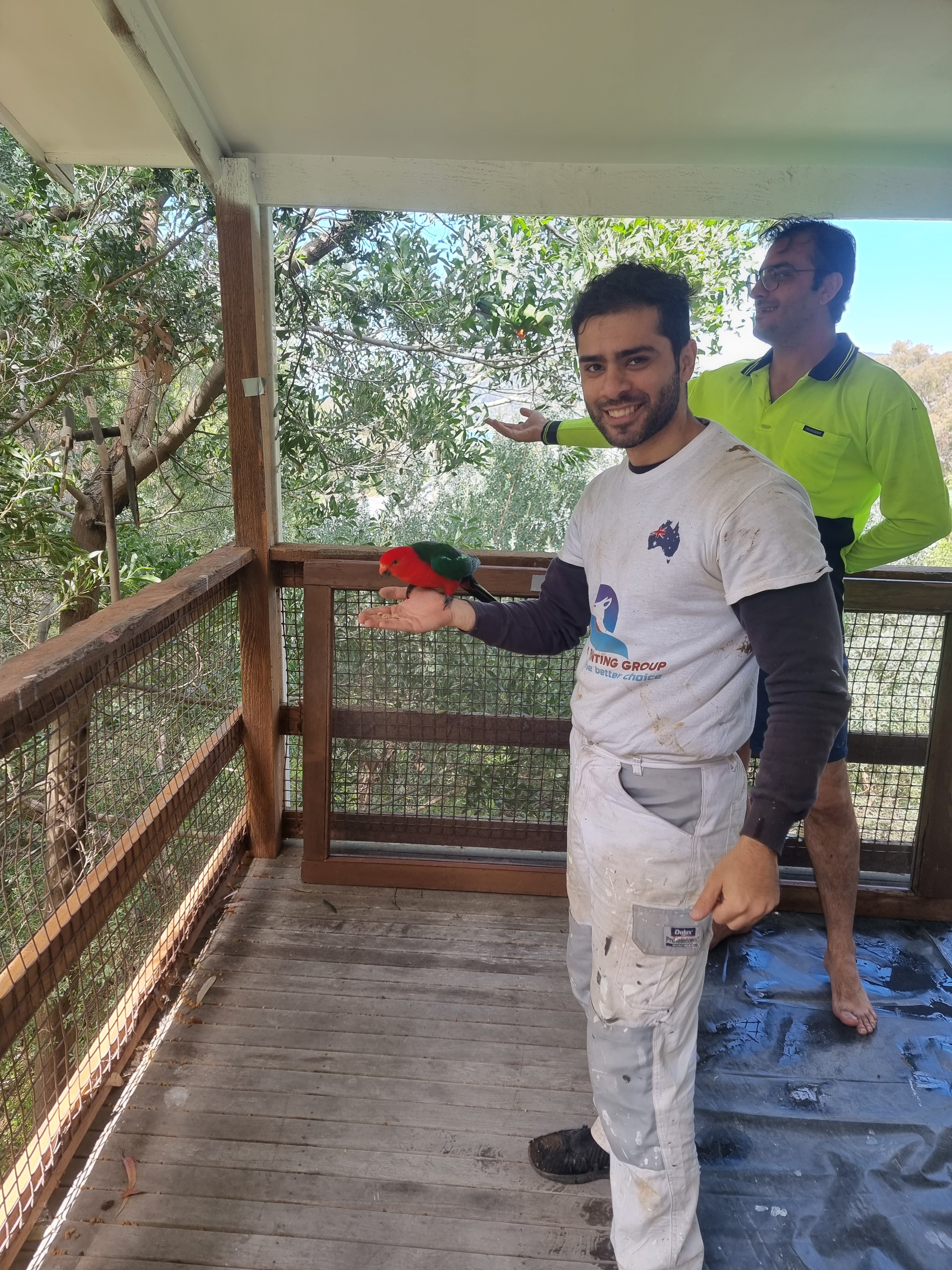 Quality painting craftsmanship