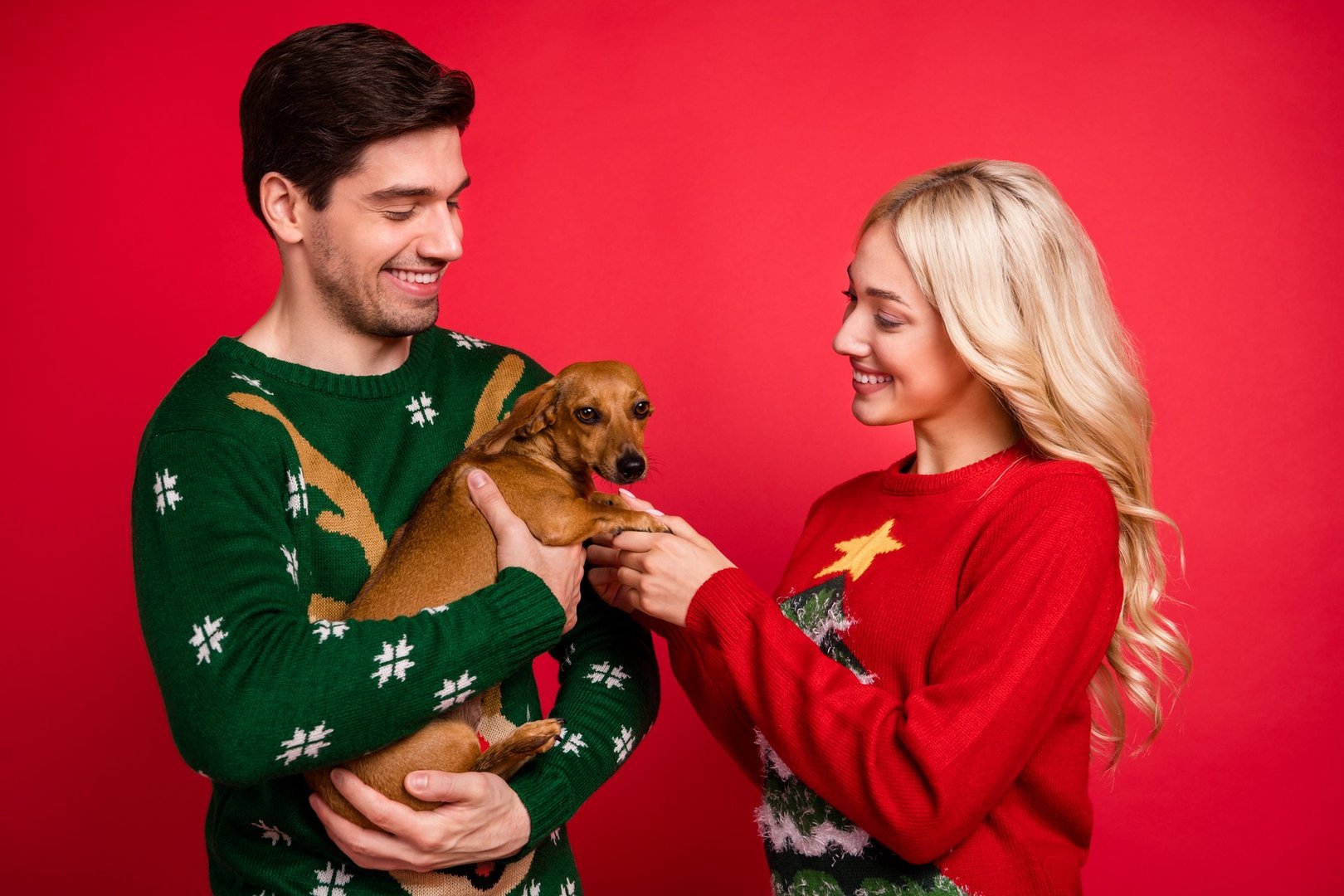 Photo of shiny cute young couple dressed ugly ornament sweaters holding hands puppy isolated red color background