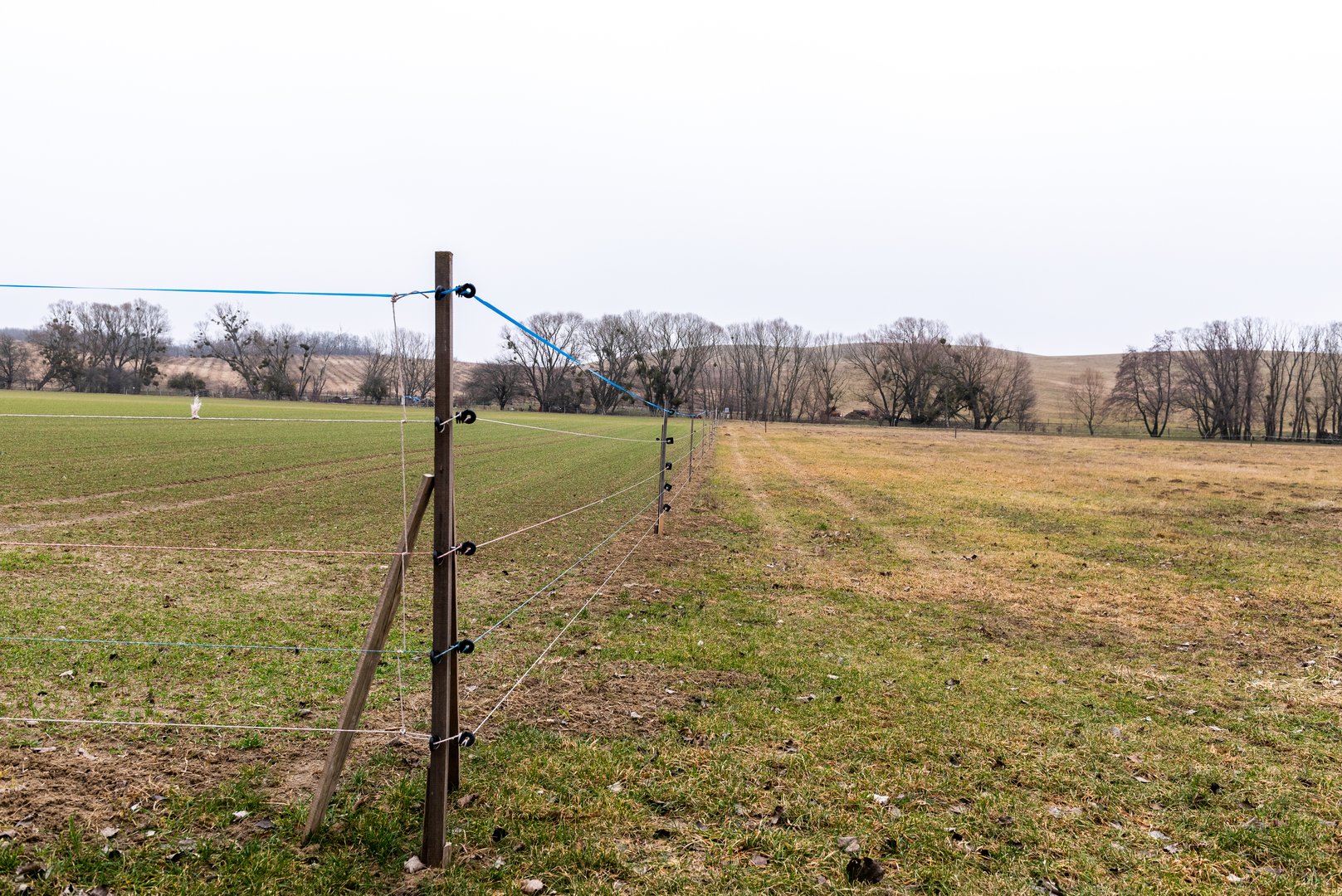 Electric fence wire running along a fence in the middle of a field.
