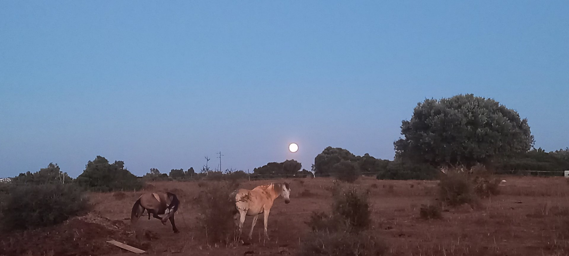 Embracing the Sanctuary