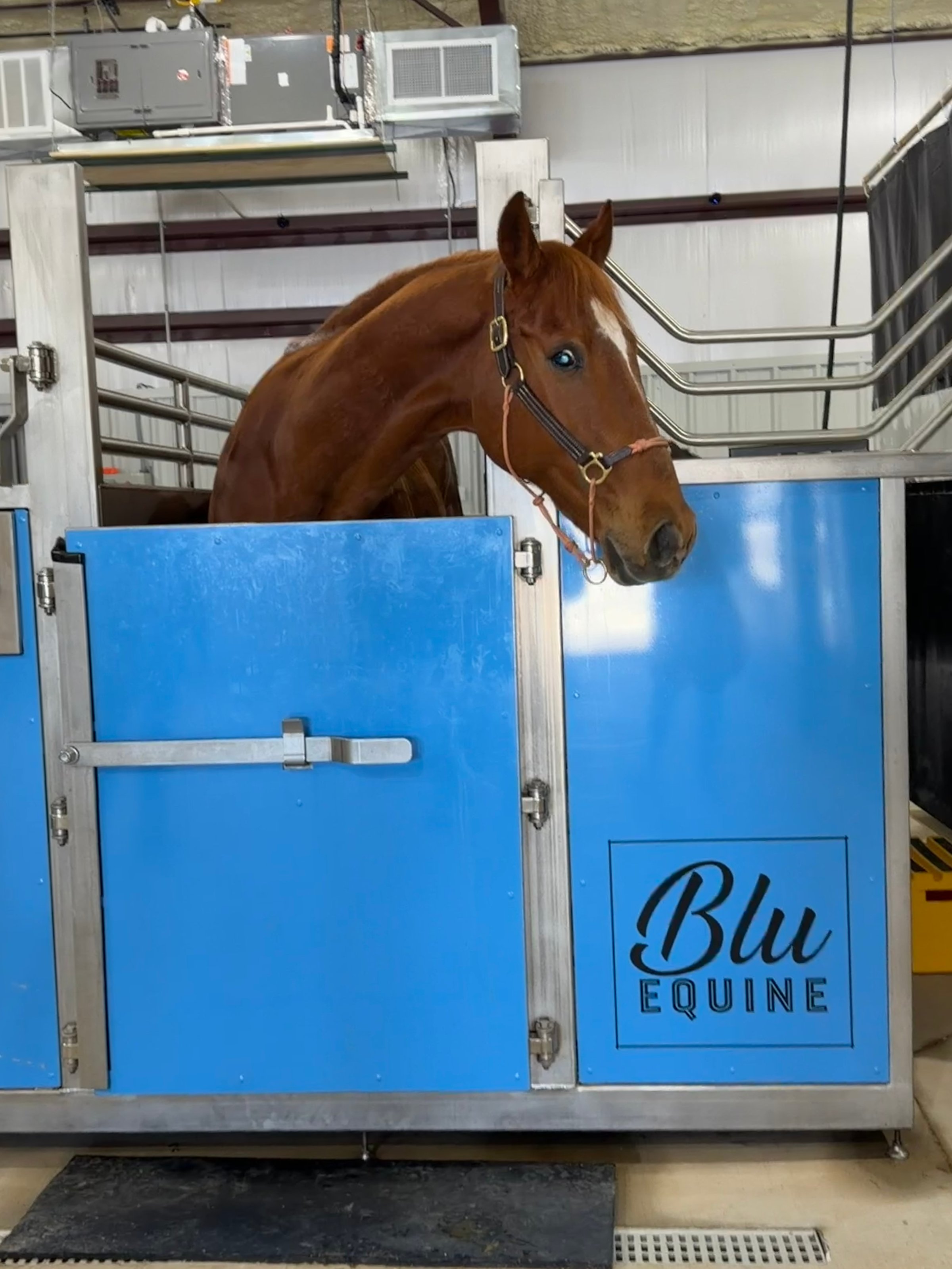 Blu Equine facility