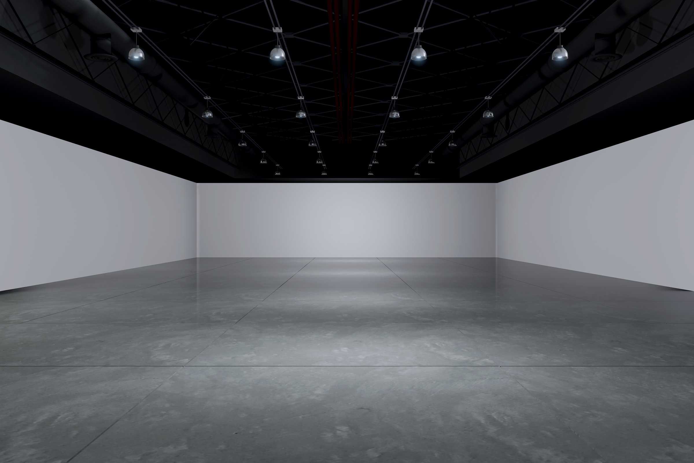 Empty hall exhibition centre.The backdrop for exhibition stands, booth,market,trade show.Conversation for activity,meeting.Arena for entertainment,event,sports.Indoor for Factory,showroom.3d render.