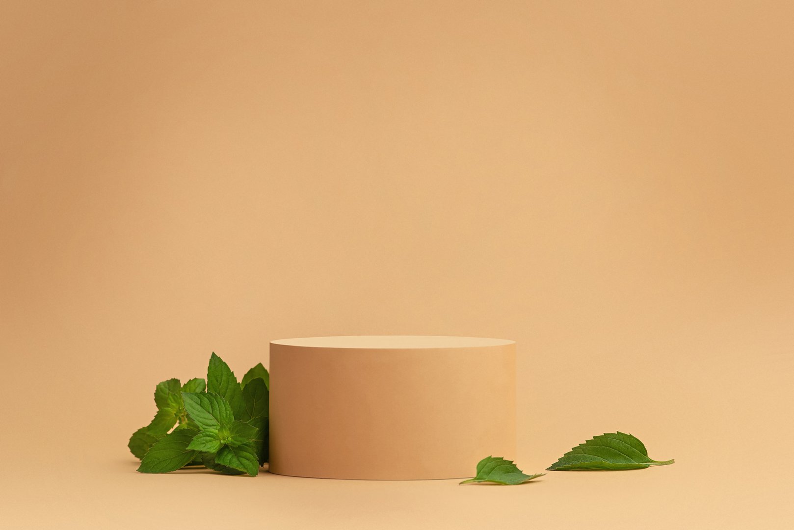 Mint leaves in a cosmetic tube on a beige background