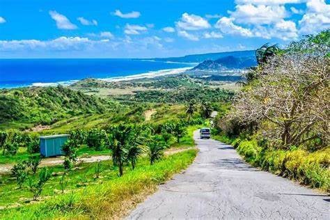 Scenic coastal landscape with a winding road leading to the ocean, surrounded by lush greenery and clear blue skies.