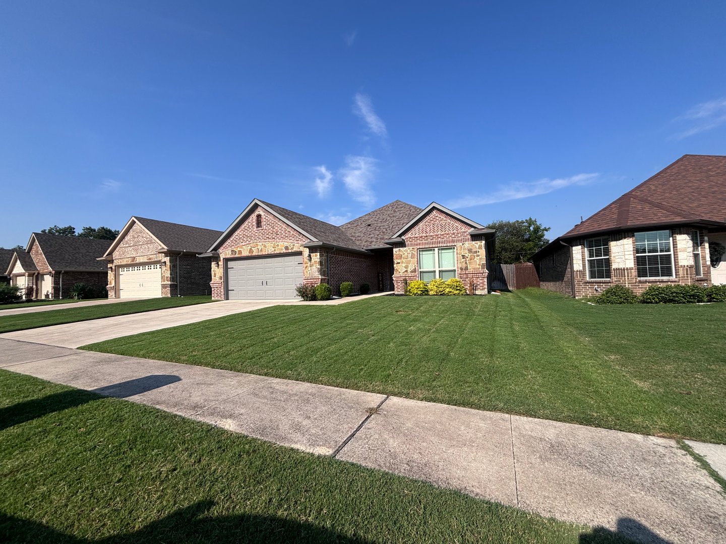 Professional lawn and exterior maintenance service