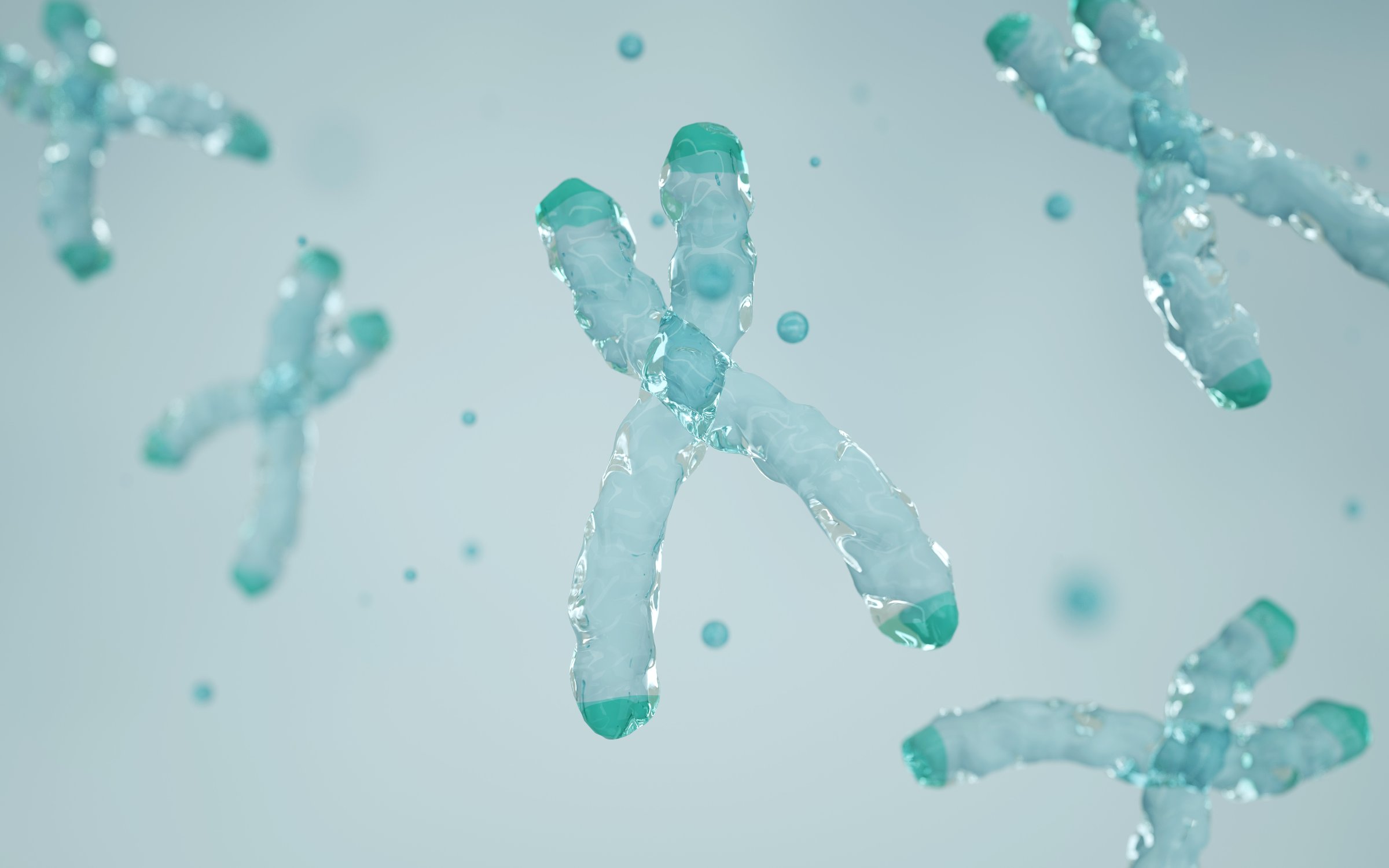 Structure of a chromosome, centromere, telomere. Epigenetic mechanism. Epigenetic factor, Methyl group, Gene, DNA, Chromosome. Genome sequence. Molecular biology.