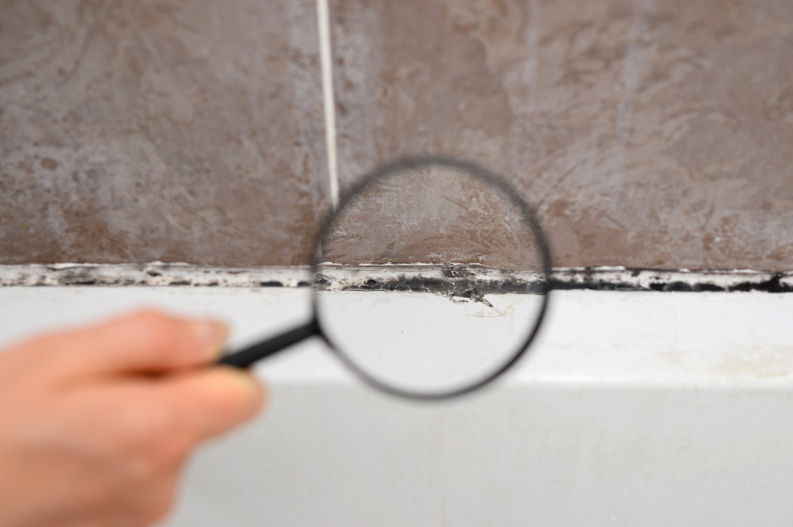 Looking at black mold under magnifying glass. Black mold has formed on silicone putty in bathroom. Cleaning a dirty bathroom