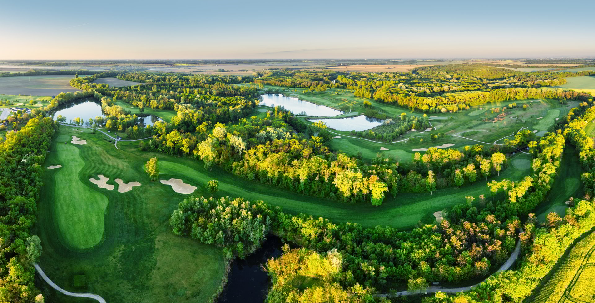 Aerial view of green grass and trees on a golf field