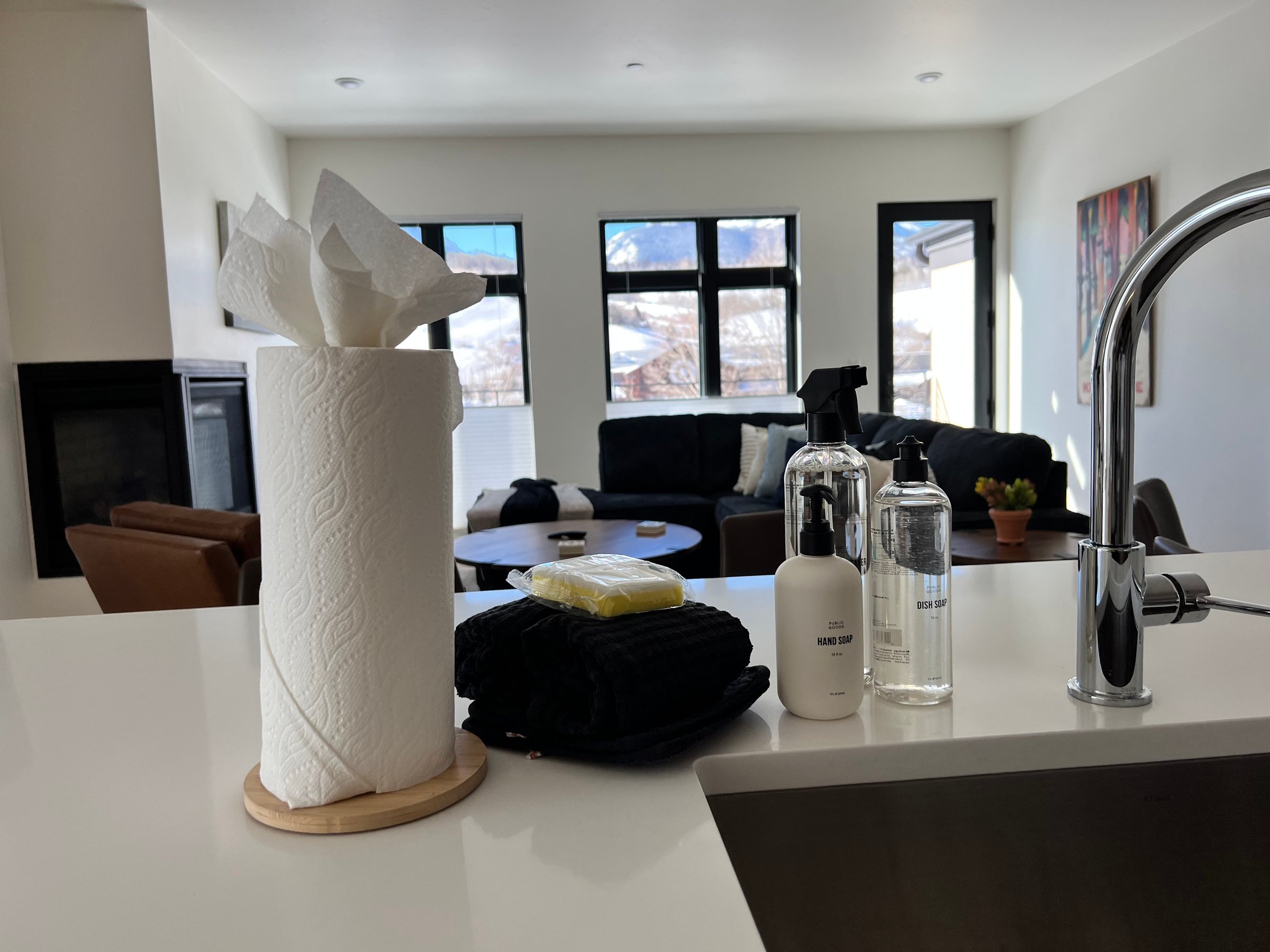 Professional cleaning service in action