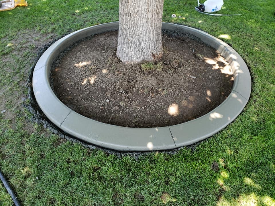 Professional concrete curbing installation showcasing precise work