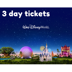 Image of Disney World attractions with text "3 day tickets." Features a castle and iconic Epcot sphere.