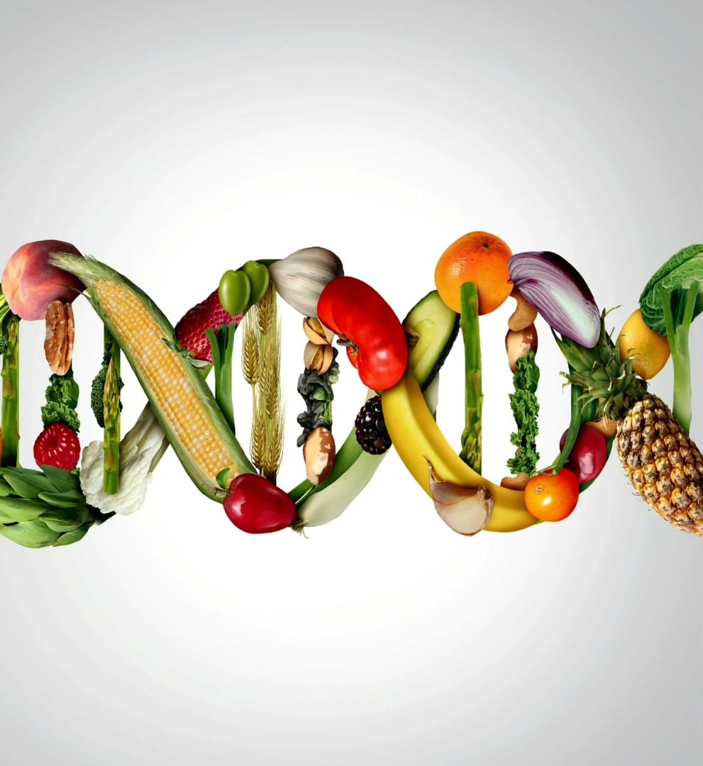 A DNA helix made of various fruits and vegetables, including bananas, corn, broccoli, and strawberries, on a white background.