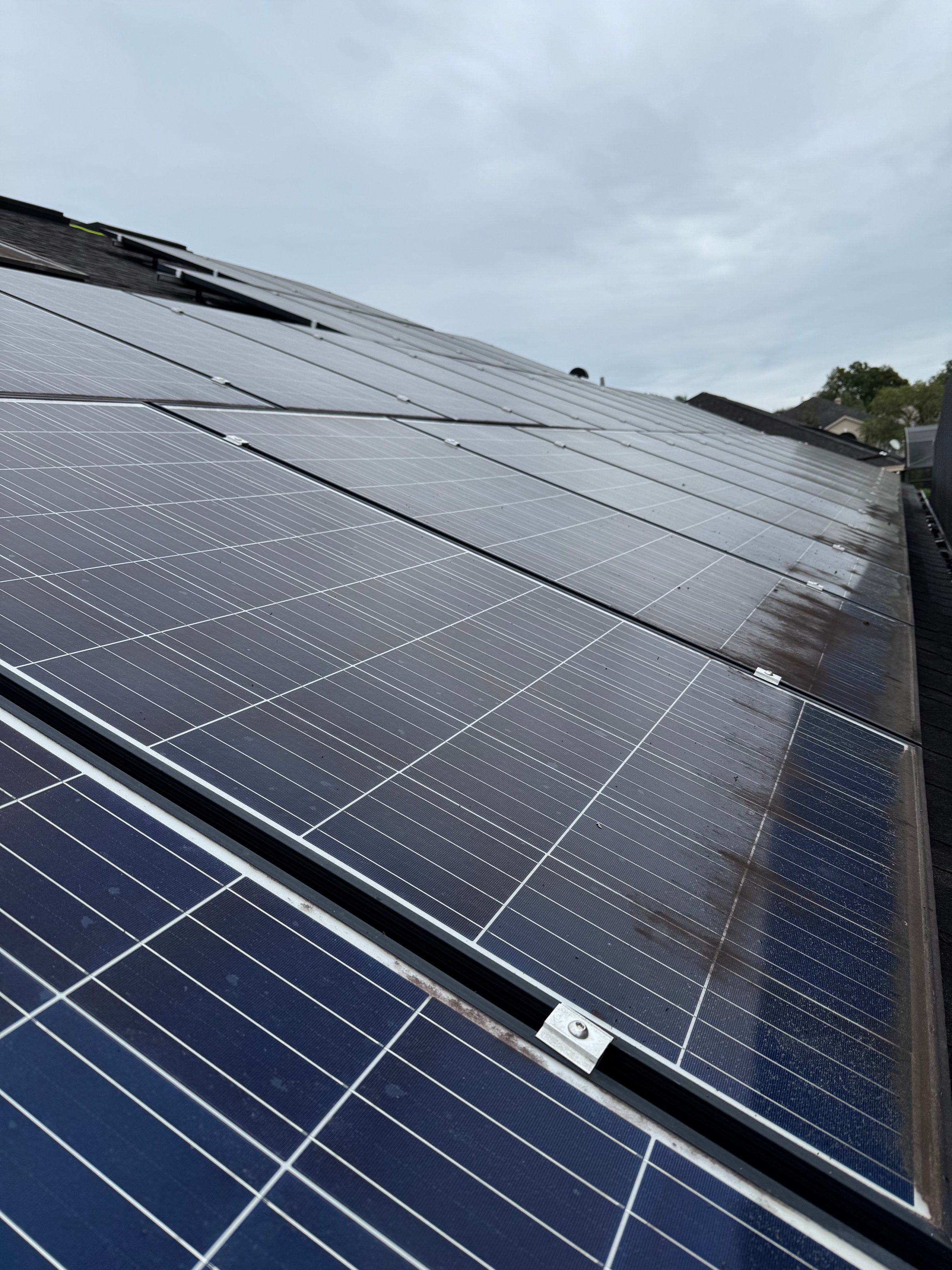 Solar Panel Cleaning