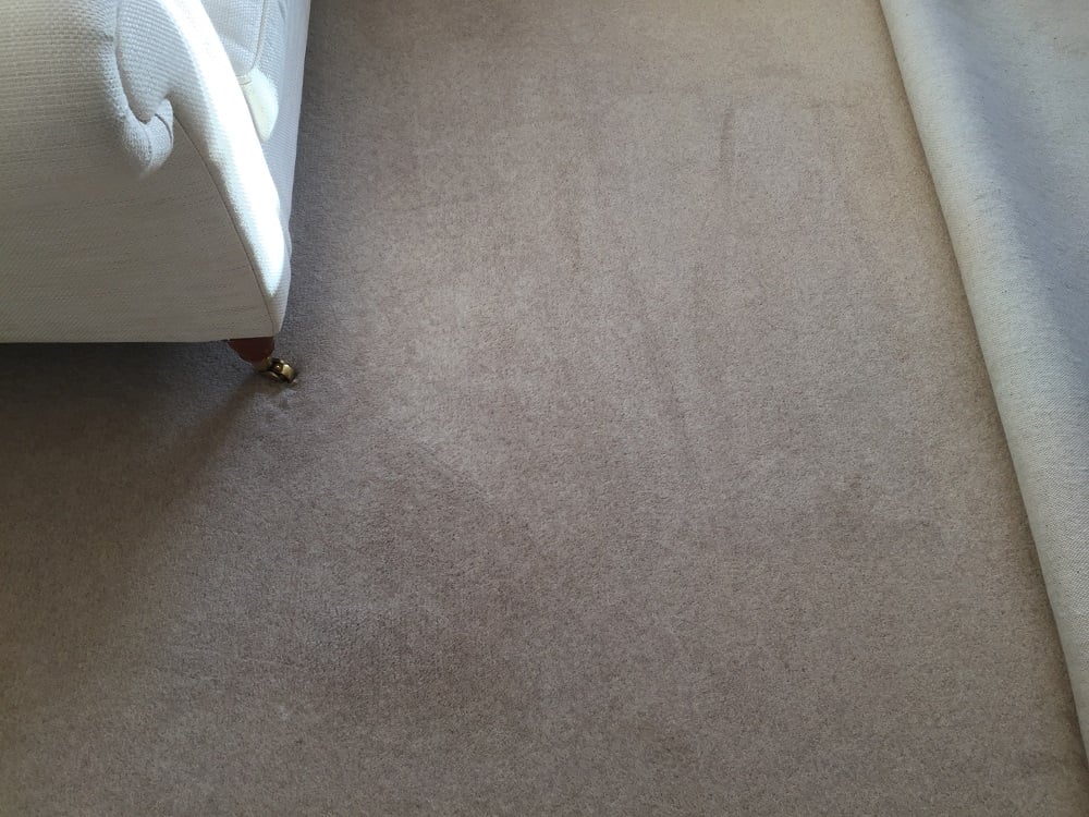 Carpet after cleaning