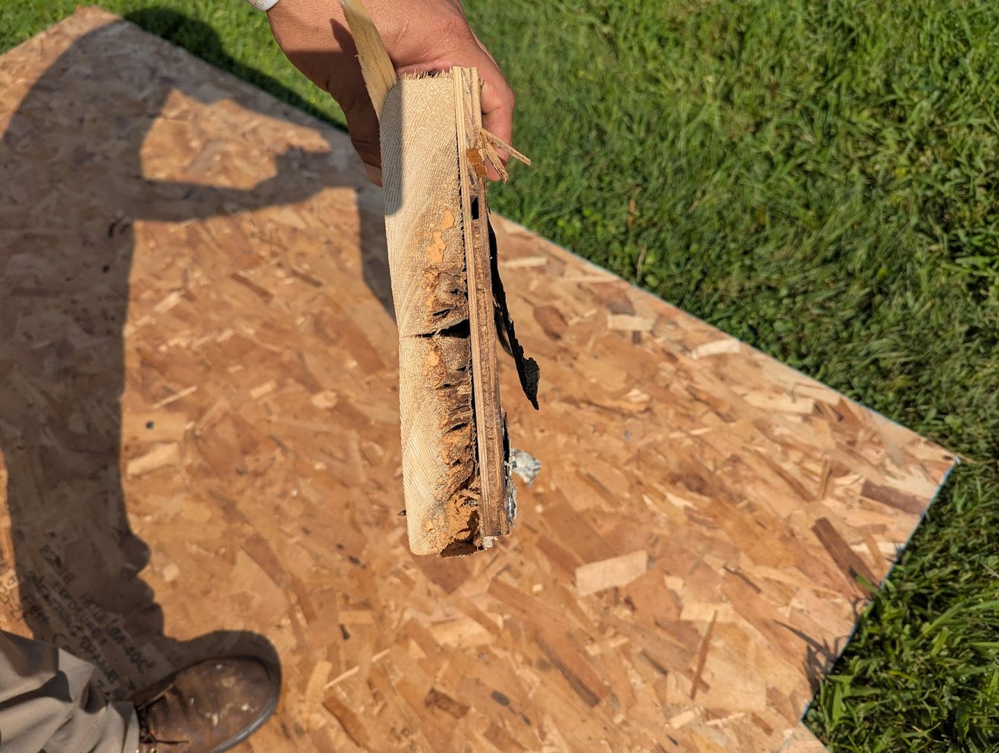 Finding hidden water damage