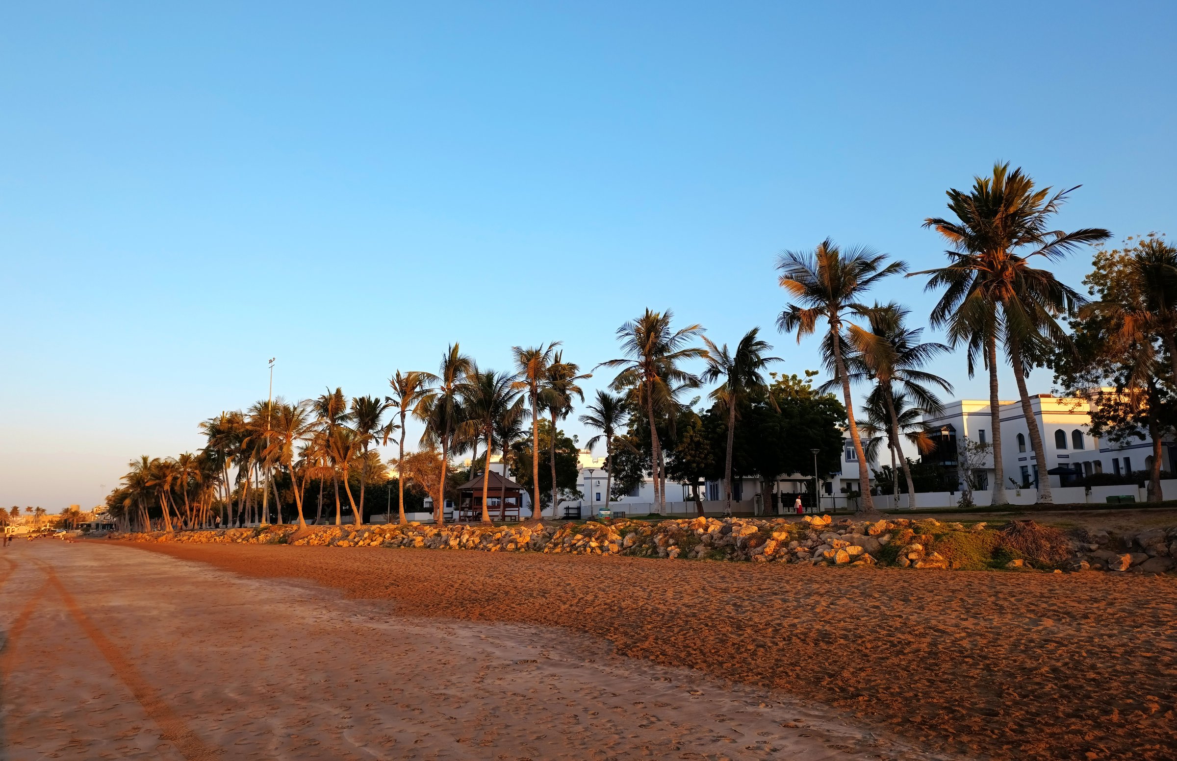 Beach and waterfront walking area among palm trees at sunset