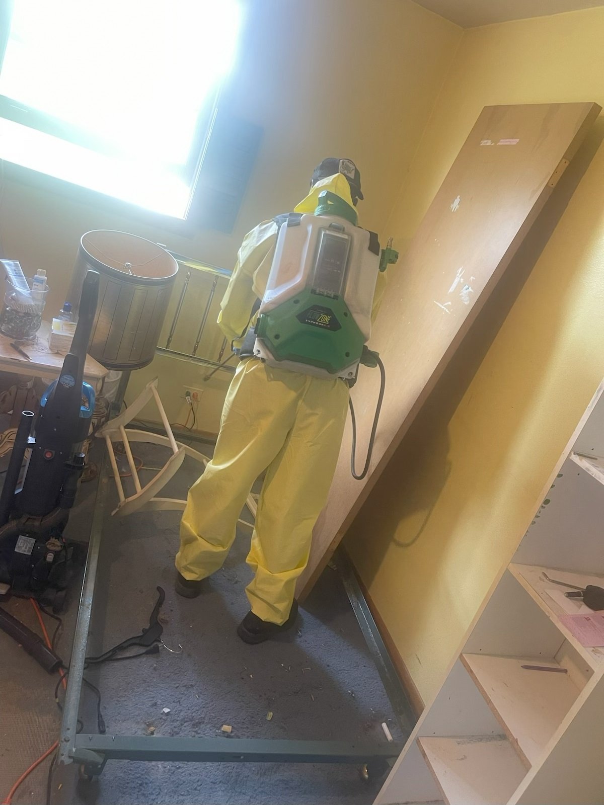 Commercial pest control spraying service