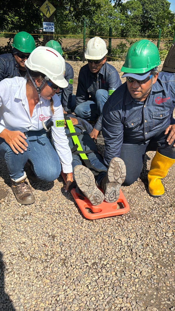 Equipo Profesional SUPLAN