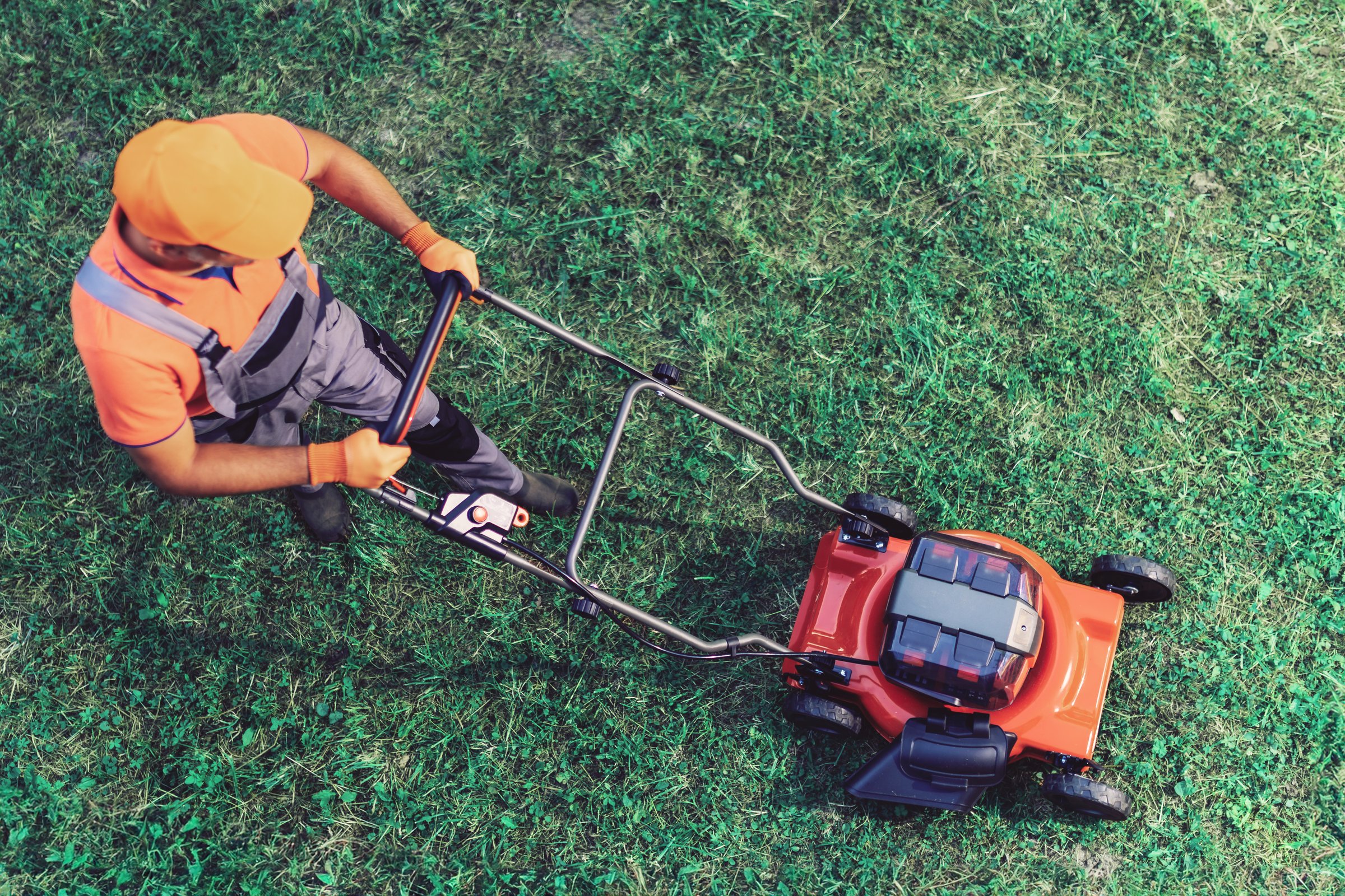 Professional lawn mower cutting grass in residential yard