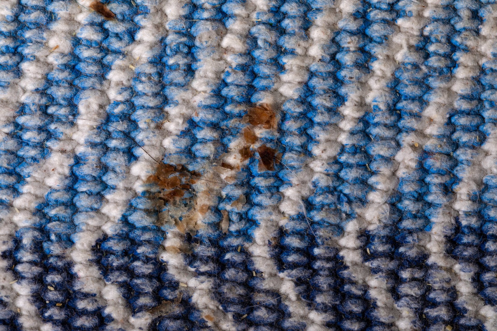 Close-up of dirt and debris trapped in area rug fibers