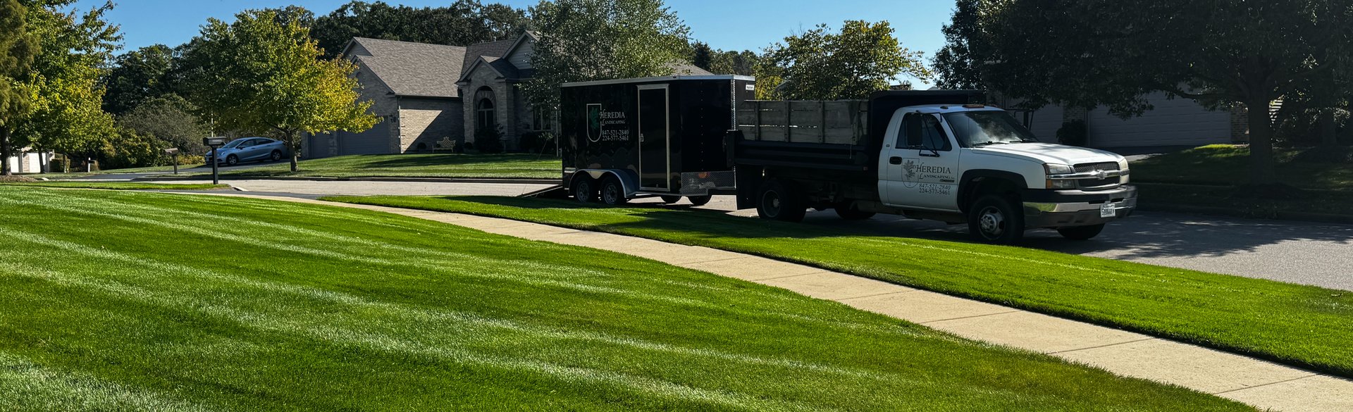 Portfolio background