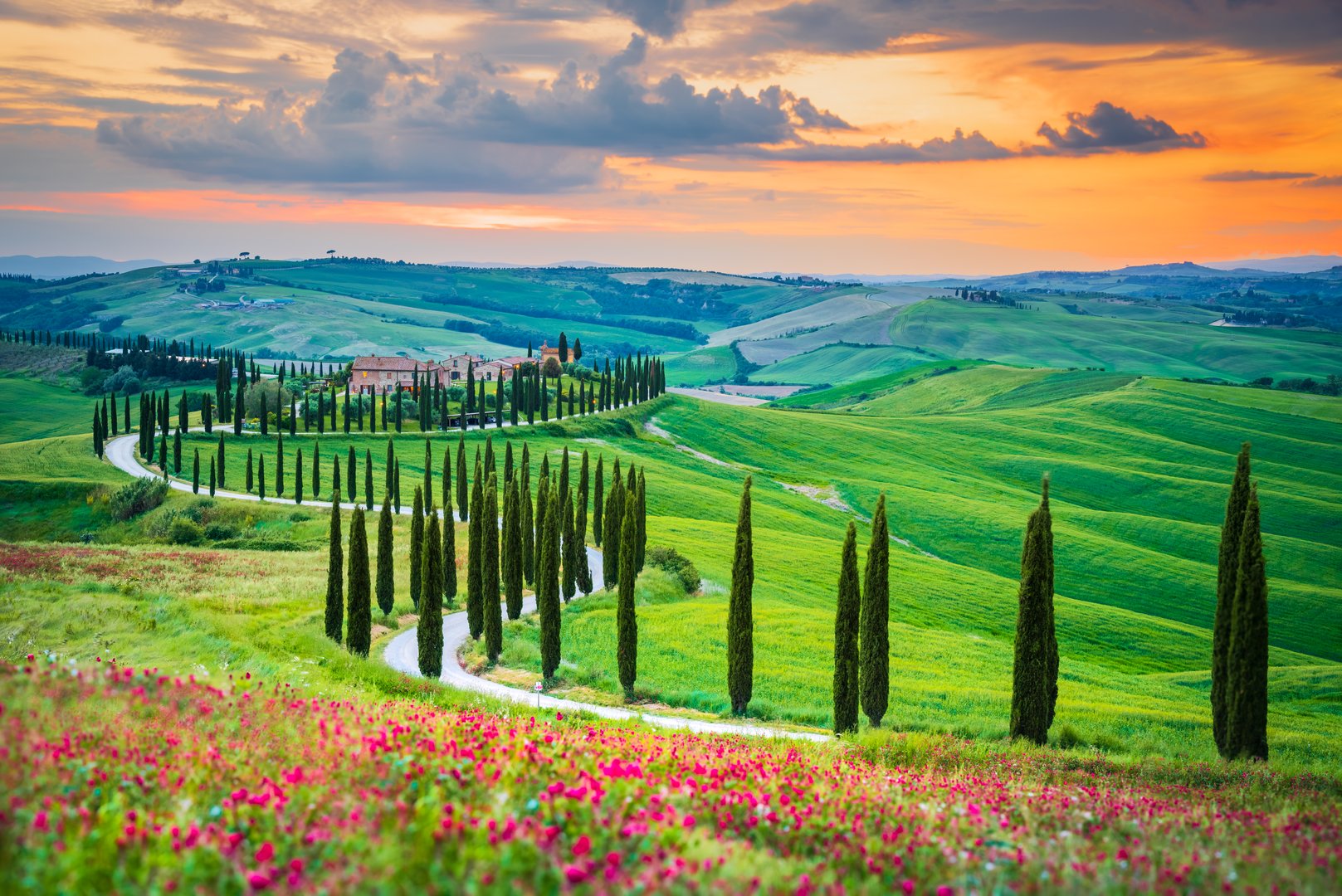 Tuscany, Crete Senesi. Rolling hills, cypress-lined paths, misty sunsets, and green fields, creating a serene landscape in Italy.