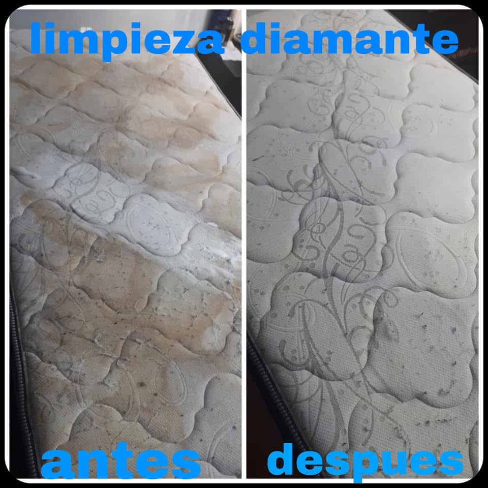 Limpieza Profunda