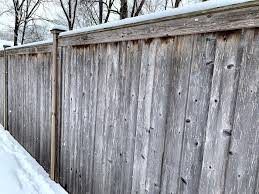 Oxidized and weathered wood showing gray discoloration