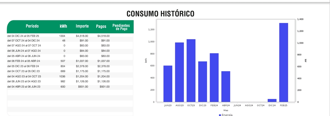Electricity consumption history showing a table of periods, kWh, costs, and payments next to a bar graph of usage over months.