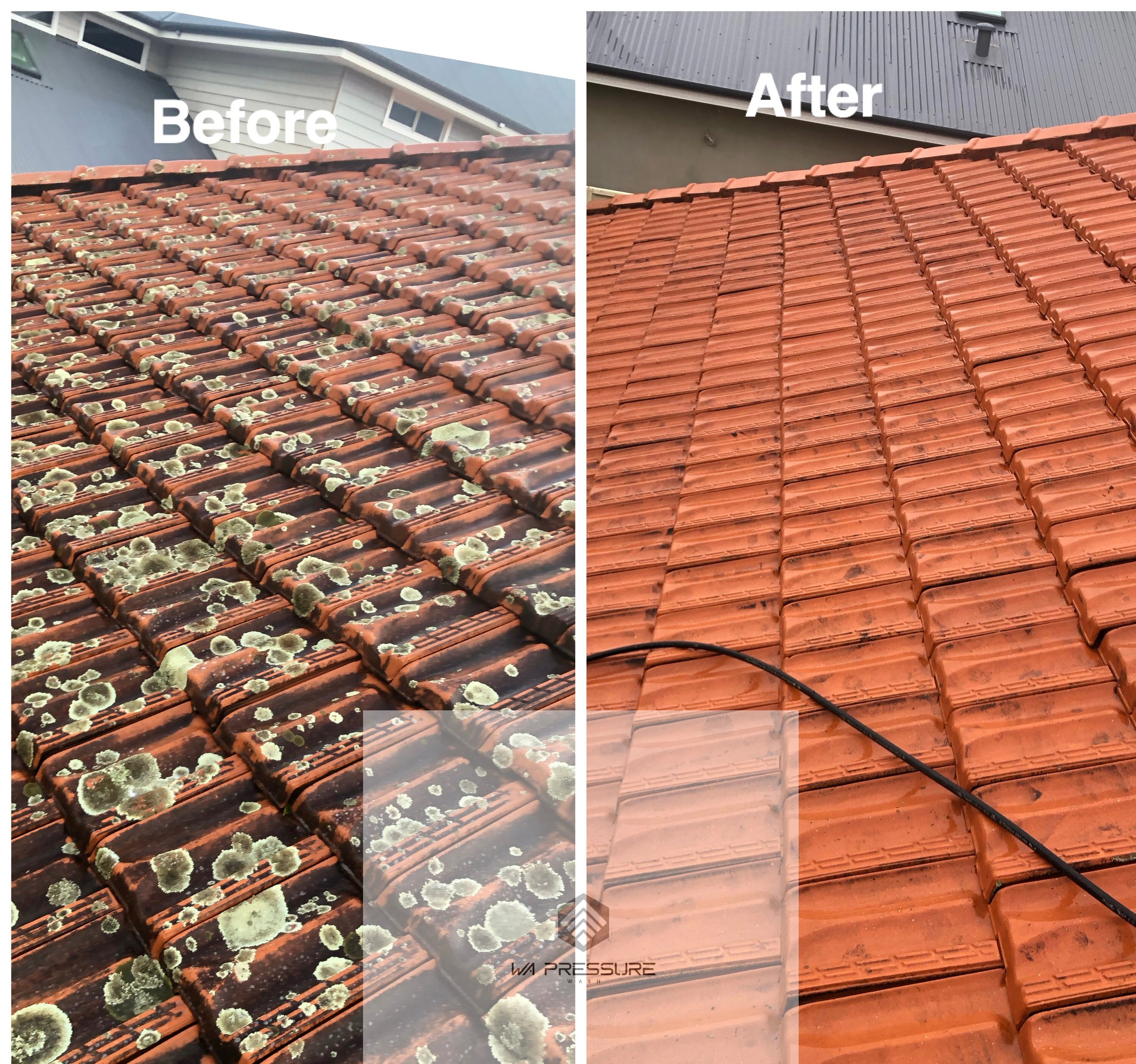 Professional roof cleaning and washing service