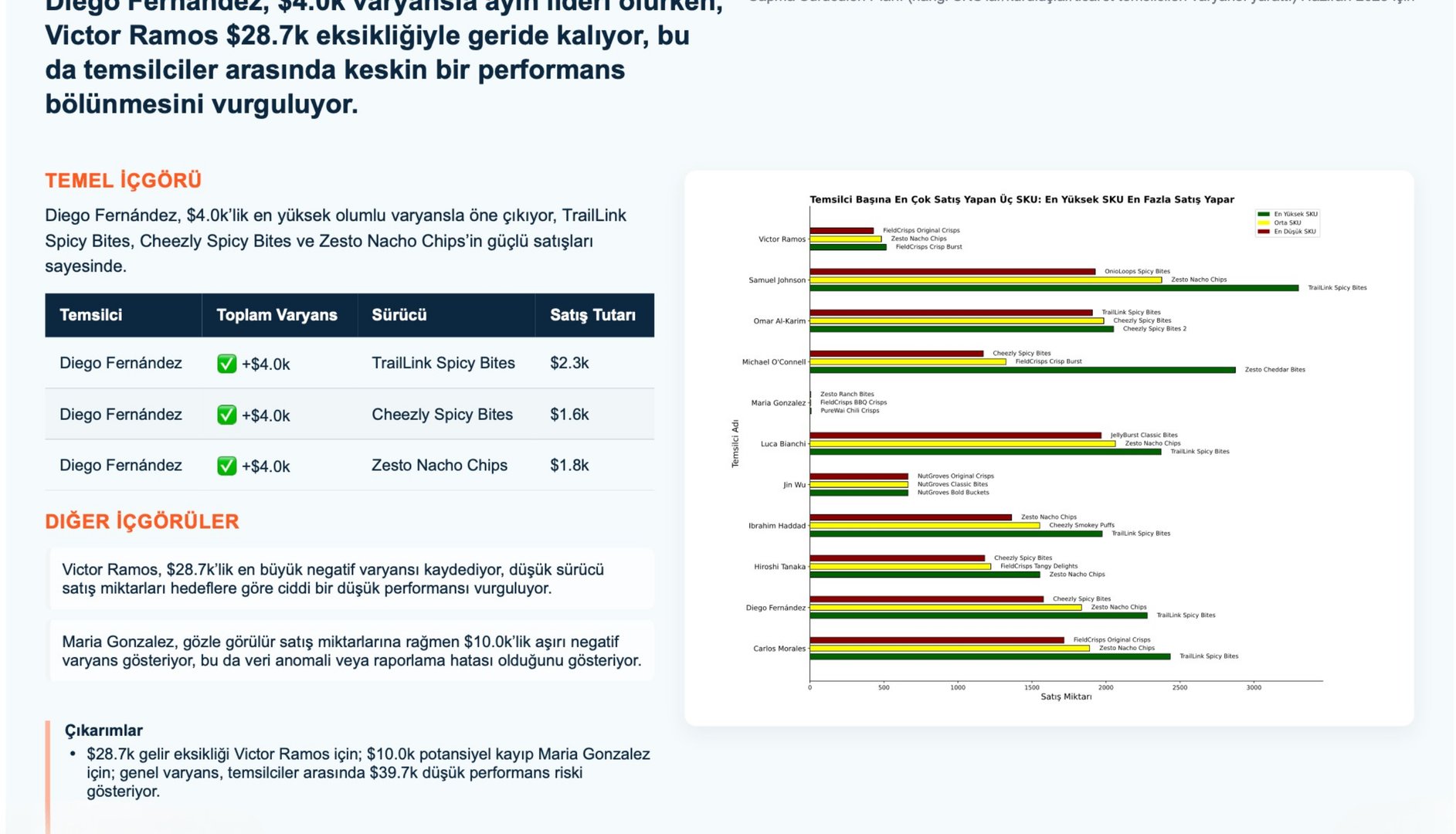 NovatekCloud AI Rapor Örneği 4