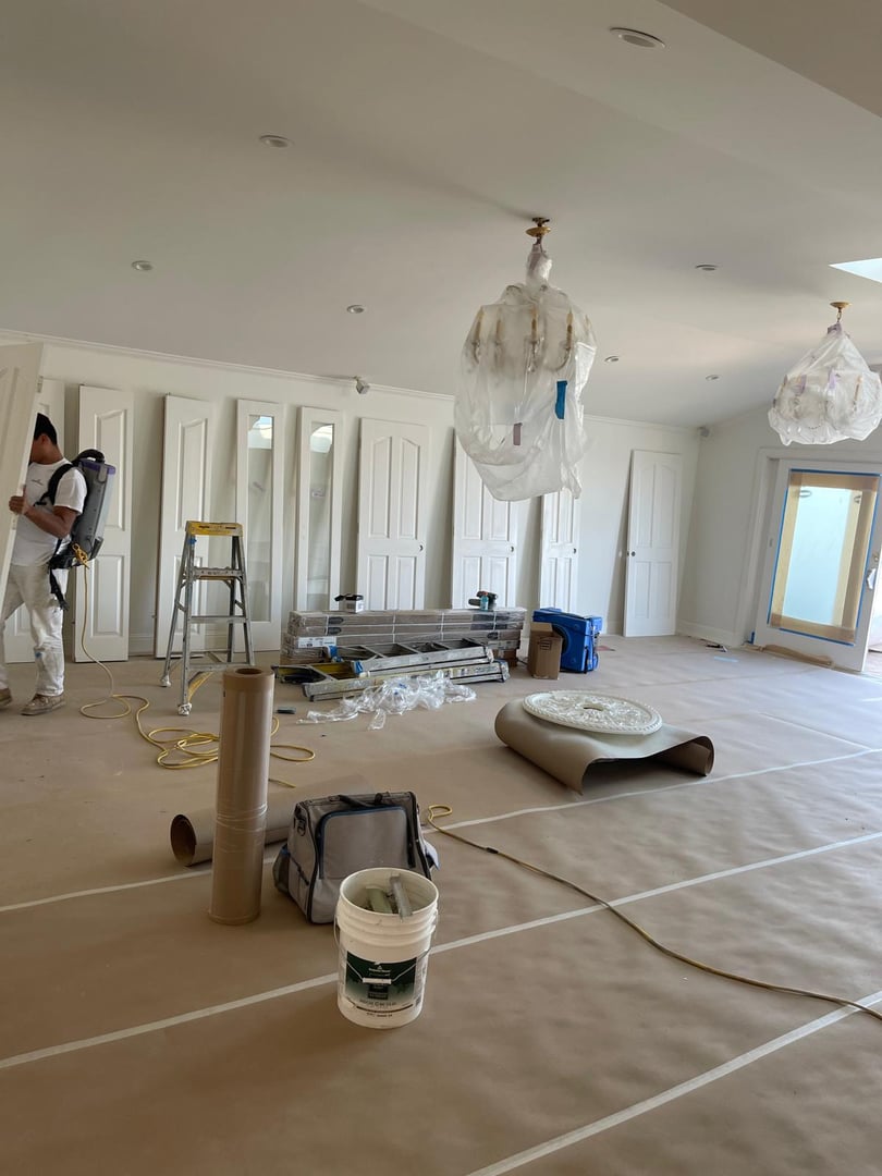 Proyecto de pintura profesional