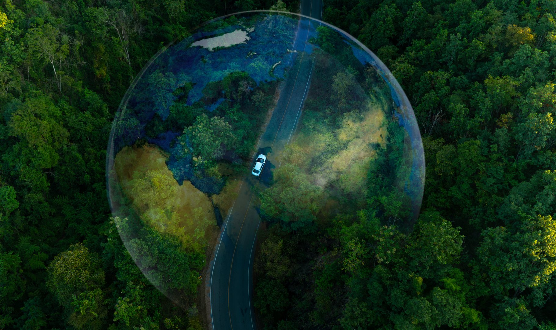Top view of a white electric car driving along a dark green forest road, an elevated road that surrounds a natural forest. Concept of using electric cars to protect the environment and save the world