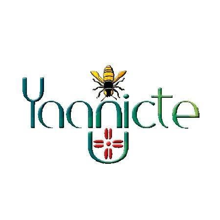 Yaanicte Miel - Productos de belleza, salud e higiene elaborados artesanalmente