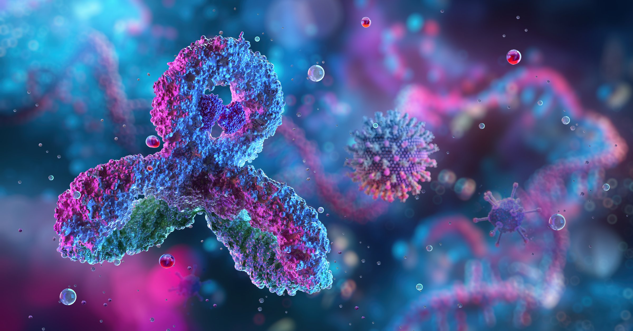 Antibodies, immunoglobulin Ig proteins 3D medical image. Immune system, IgM, IgG, IgE, IgD, IgA antibodies glycoproteins, specific antigens against virus. Vital components of the immunity responce