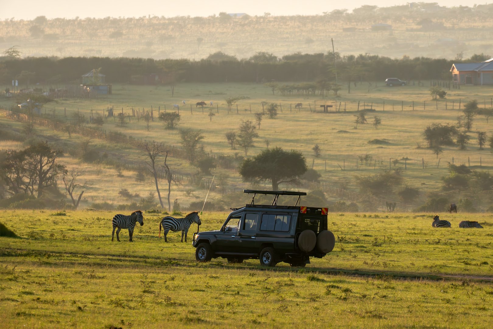 An SUV car for safari on the road in the African savannah. Tourists watch the animals in the car. game drive in the early morning at dawn.