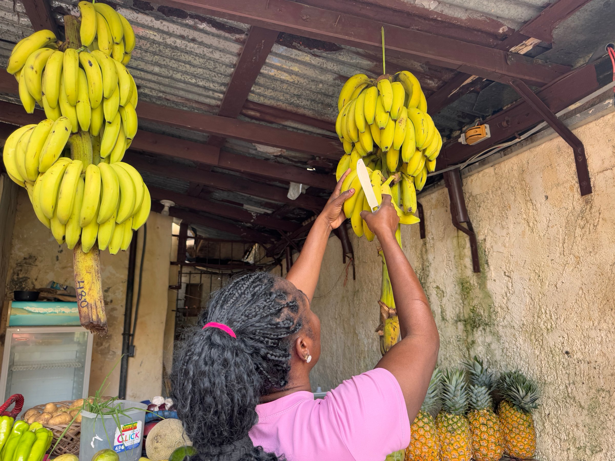 Cabarete DR Jan 6 2025 A Dominican woman is cutting bananas in a neighbourhood fruit market