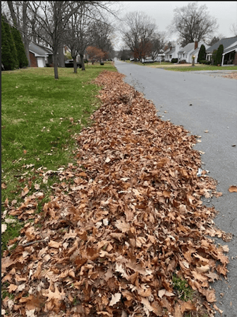 Fall lawn care