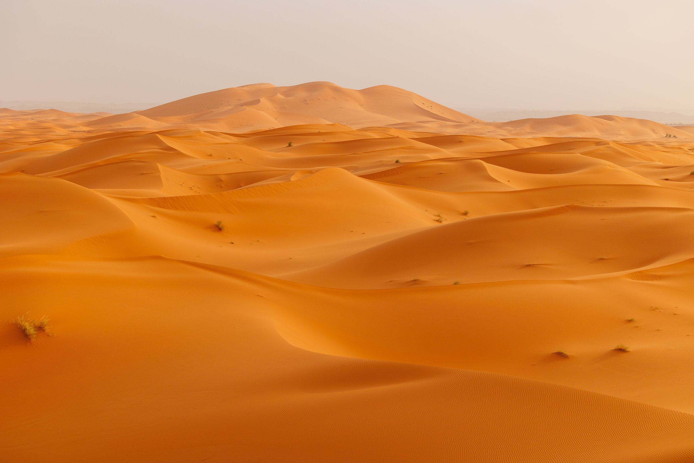 Panoramic landscape views of Erg Chebbi sand dunes located in Morocco on the western edge of the Sahara Desert