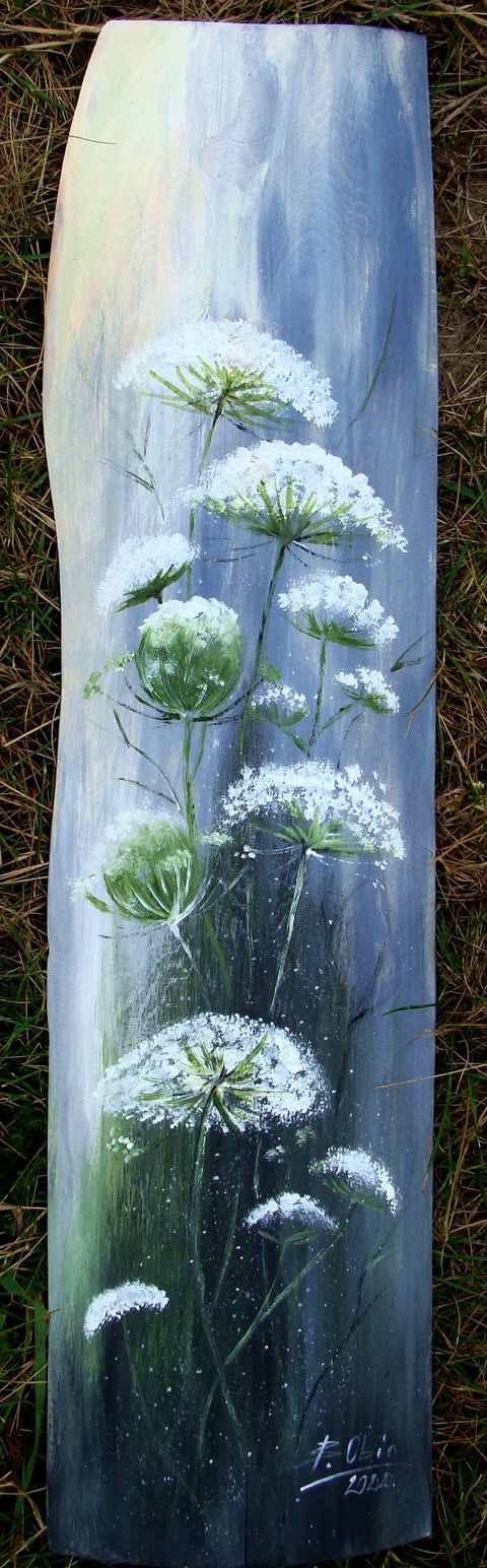 Marchew polna dł 70cm deska oflis