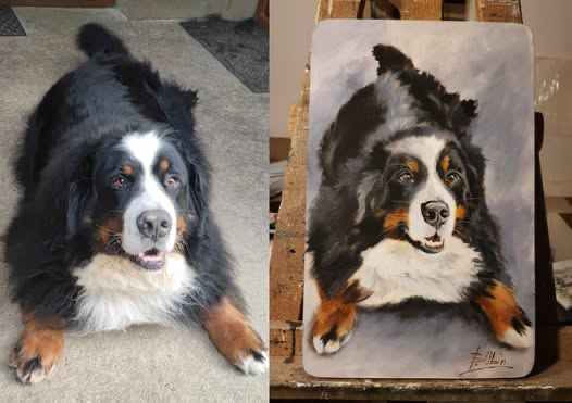 Zrealizowane zamówienie 37