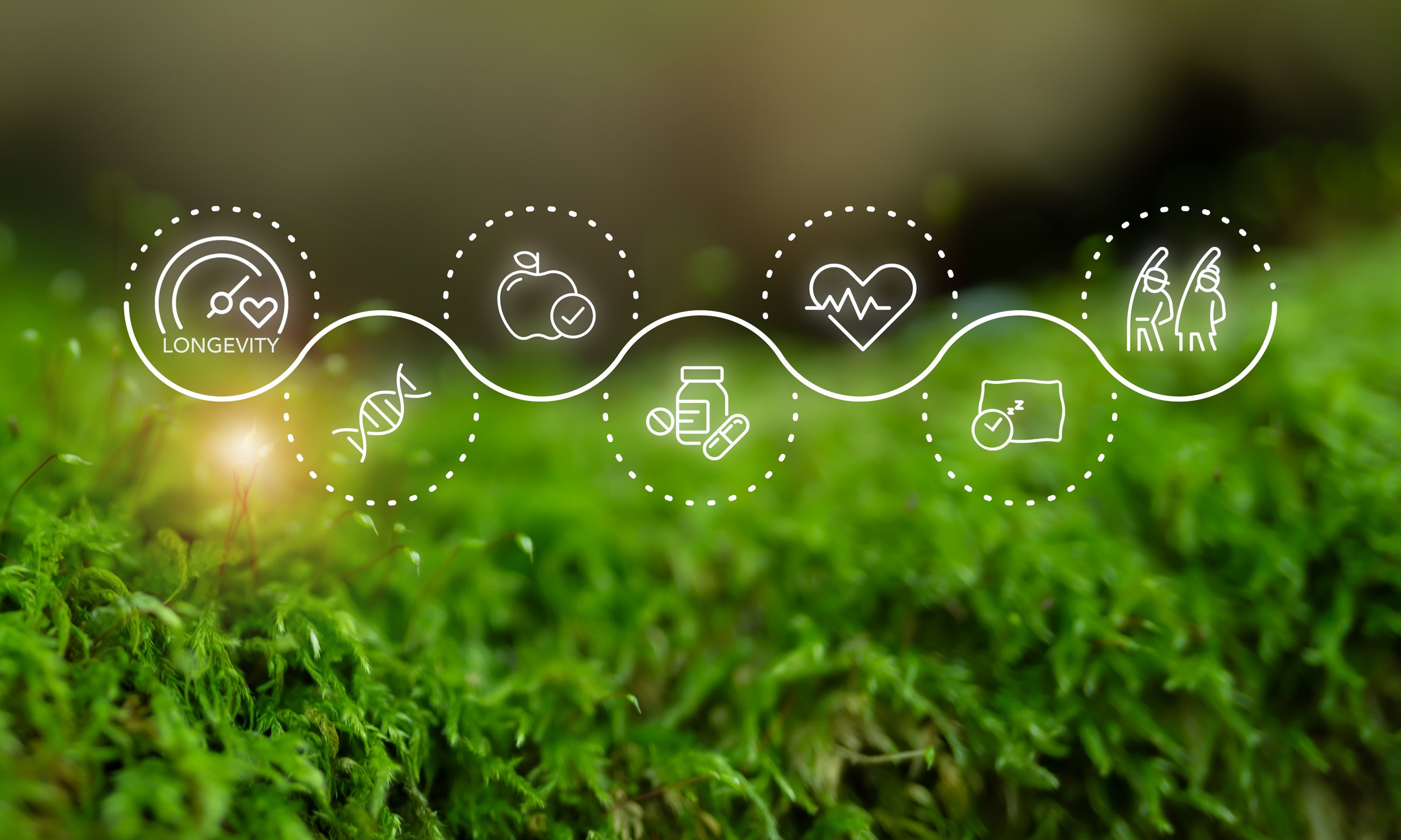 Longevity and wellness, longevity economy. Wellness and longevity icons along a wave path over a natural green background, the connection between healthy living, natural lifestyle, extended lifespan.