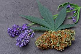 Terpene Image