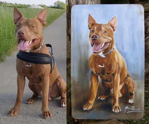 Zrealizowane zamówienie 21