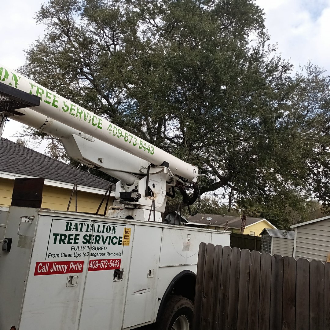 Residential tree services
