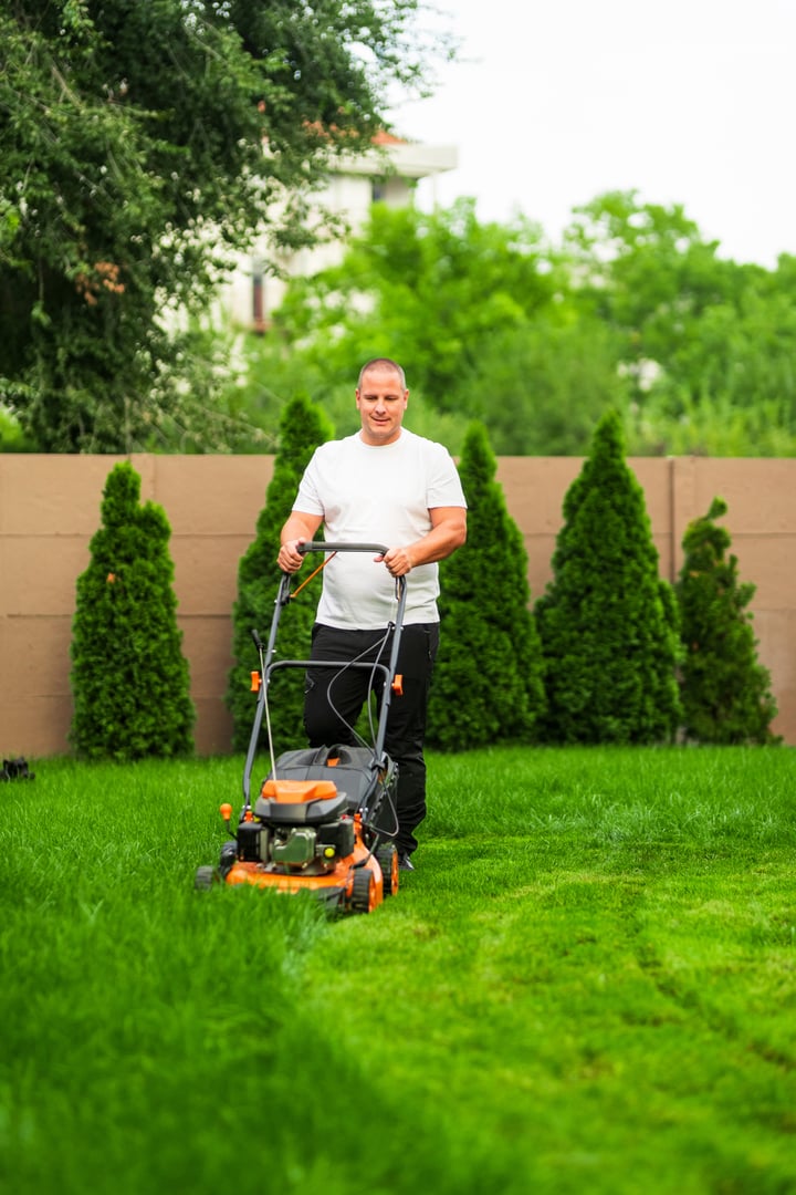 Gardener is mowing the lawn in a backyard on a sunny day, taking care of the grass with a professional lawnmower