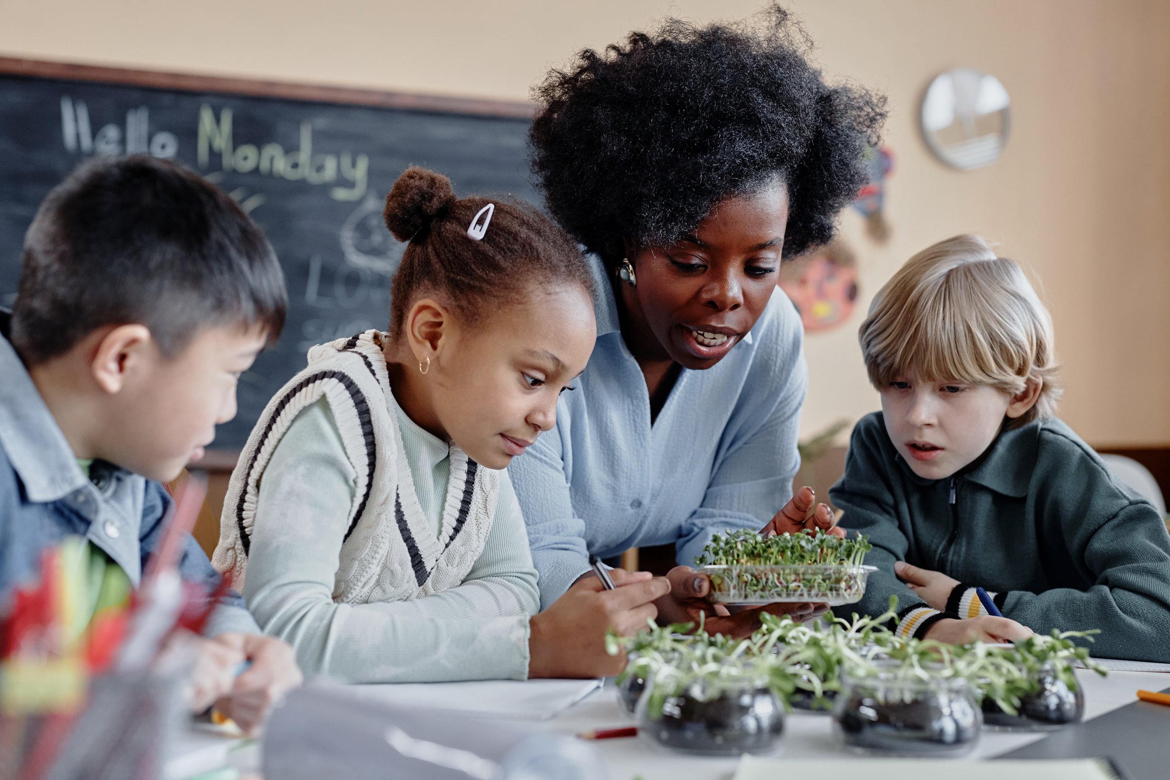 Multiethnic group of primary school kids discovering growth of plants looking at microgreen sprouts during biology lesson