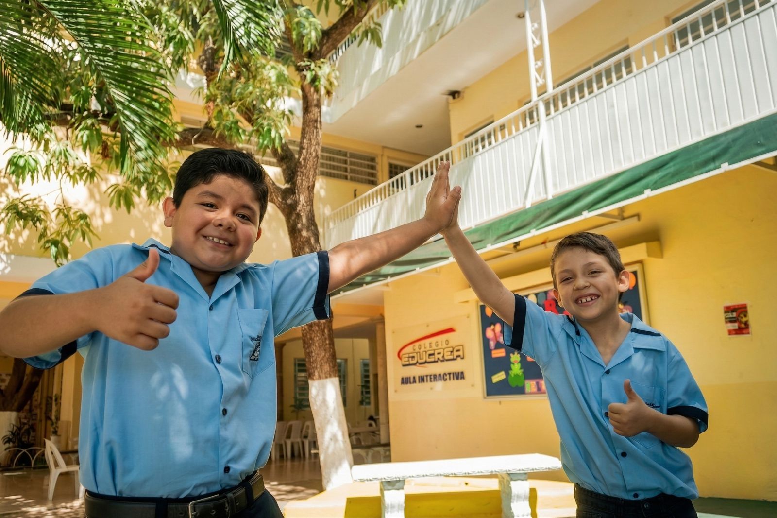 Primaria Creatividad