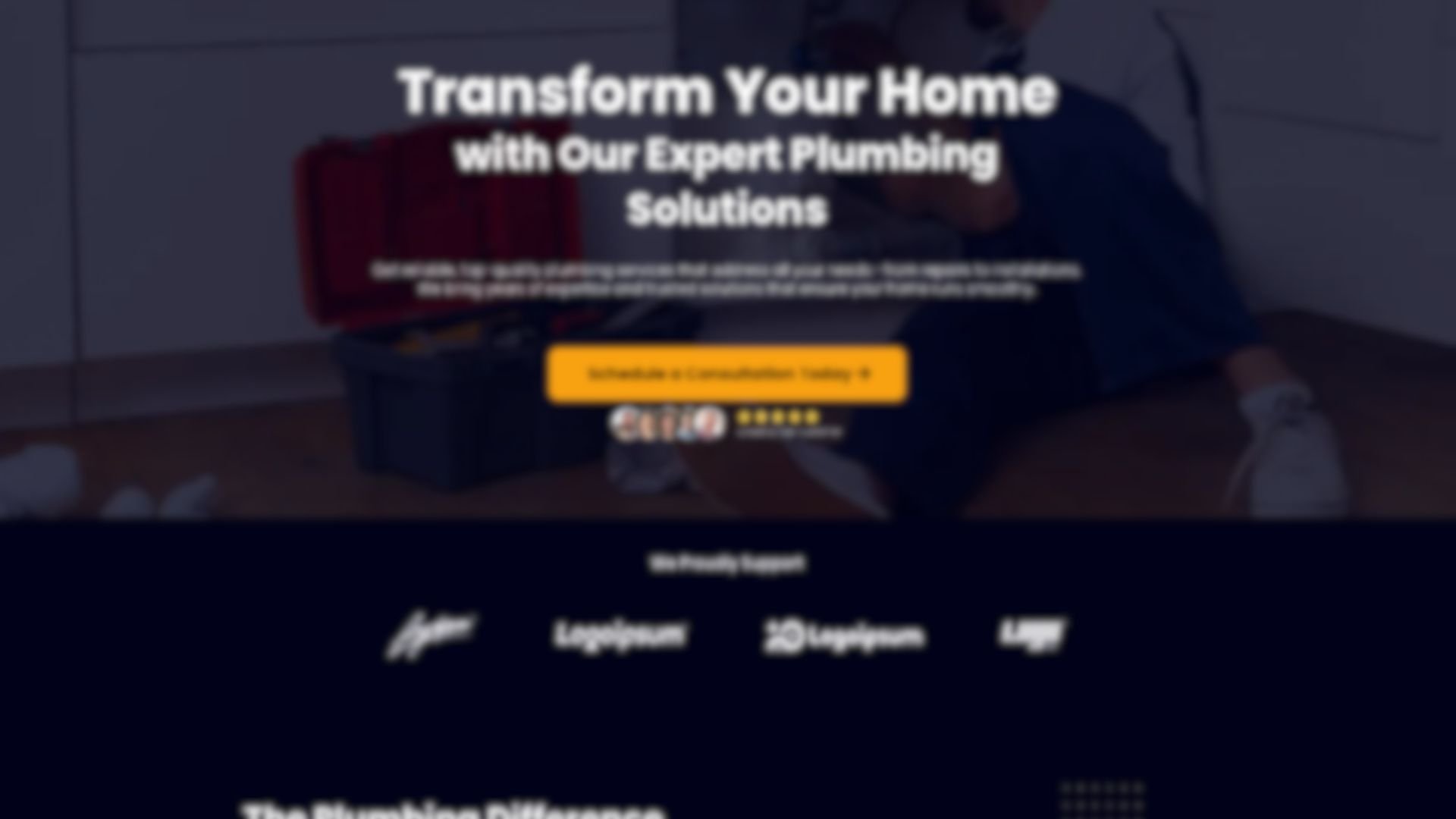 Pro Plumbing Services website