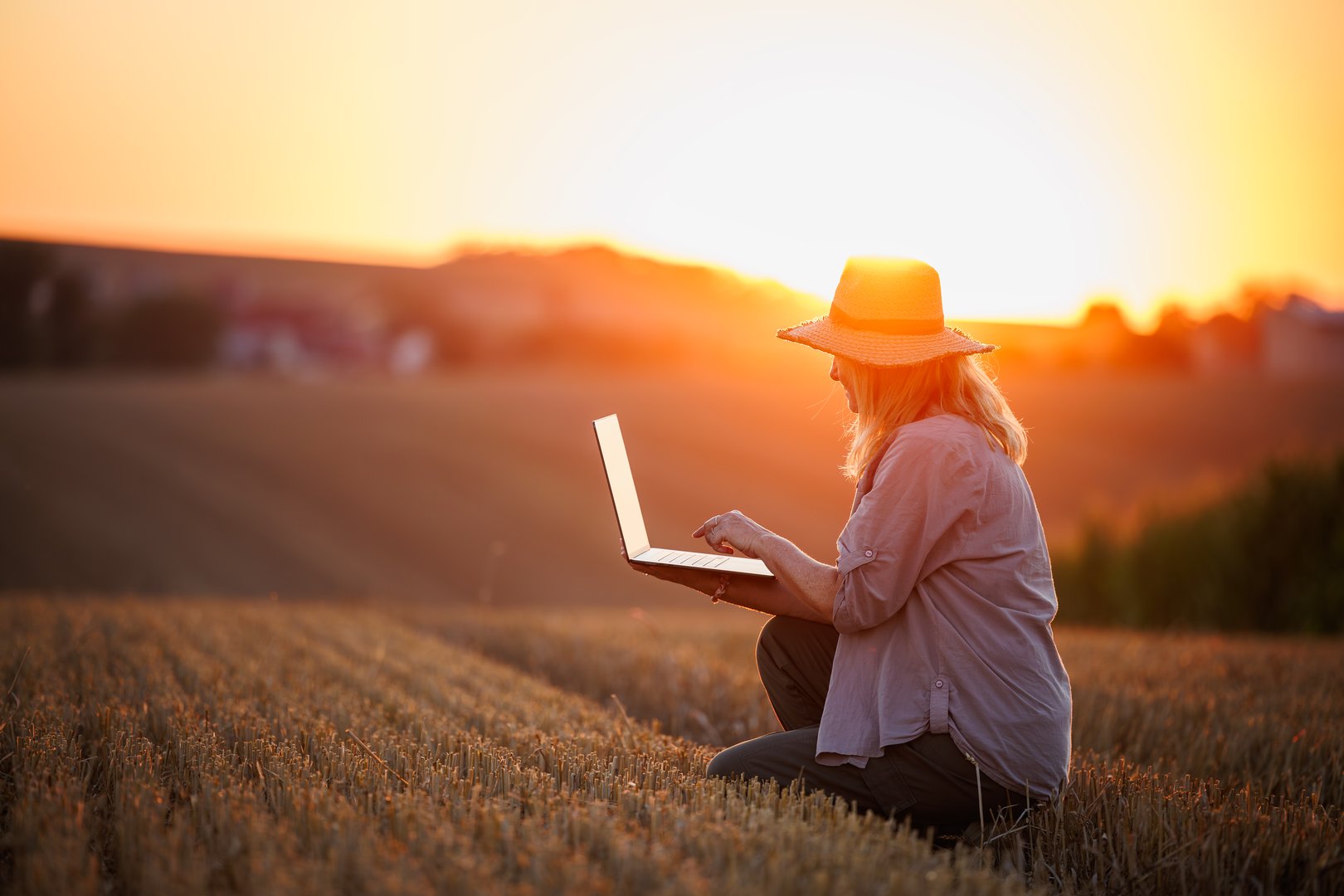 Woman agronomist with hat analyzing smart farming data on laptop after harvest on agricultural field during sunset